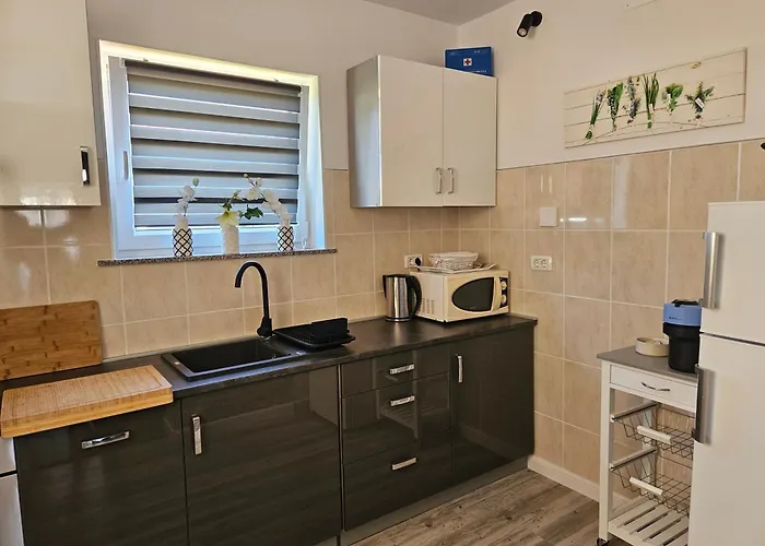 Apartment With Parking Space - 23049 Medulin